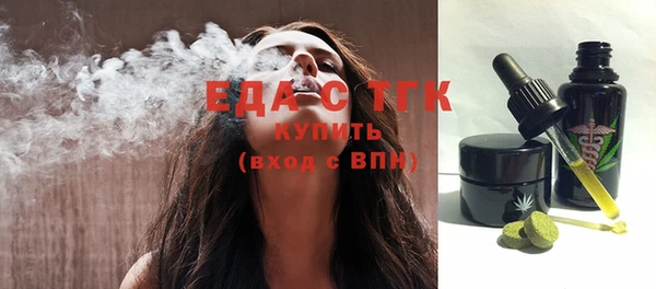 spice Богородицк