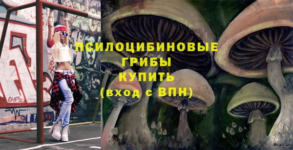 скорость Белокуриха