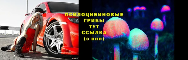 spice Богородицк