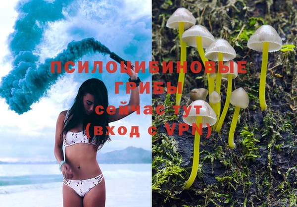 скорость Белокуриха