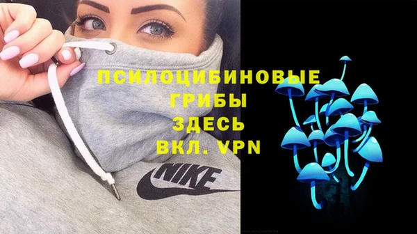 мескалин Богородск